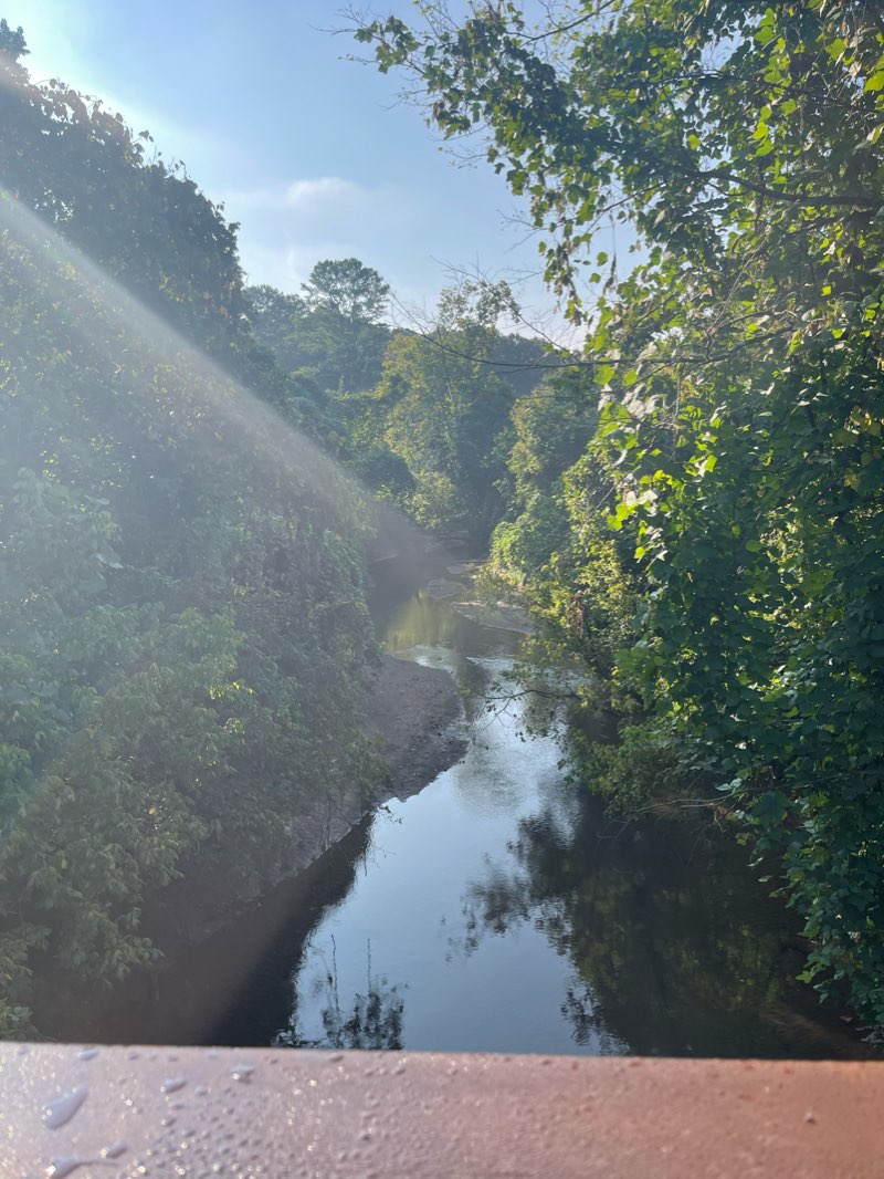 walking near me in Woofstock Park in winter