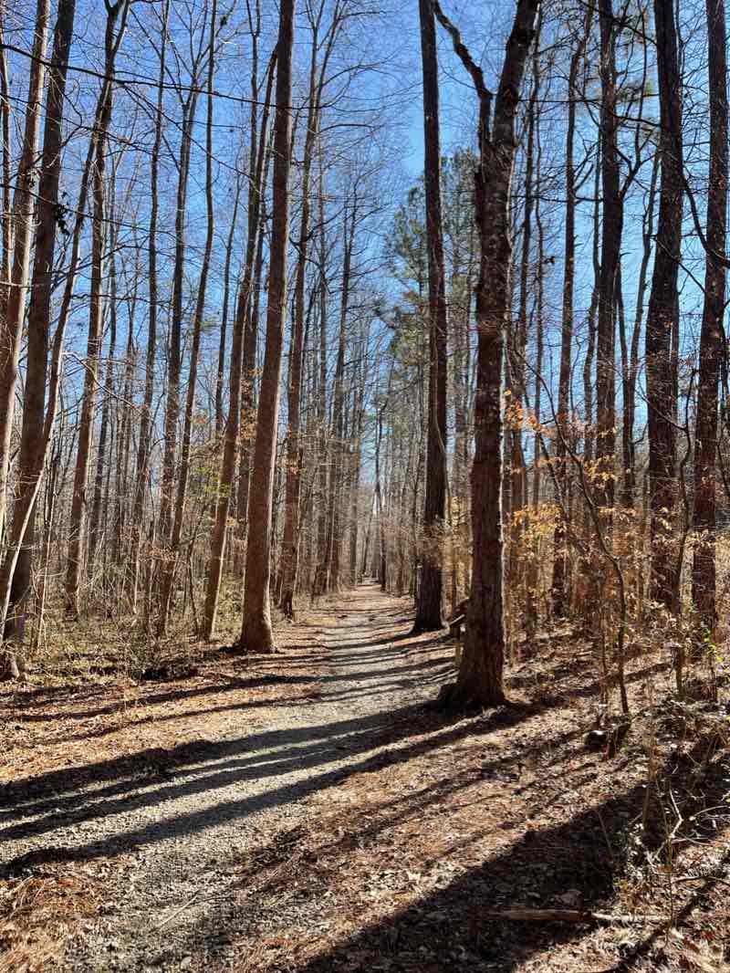 walking near me in Barrnett Park in winter