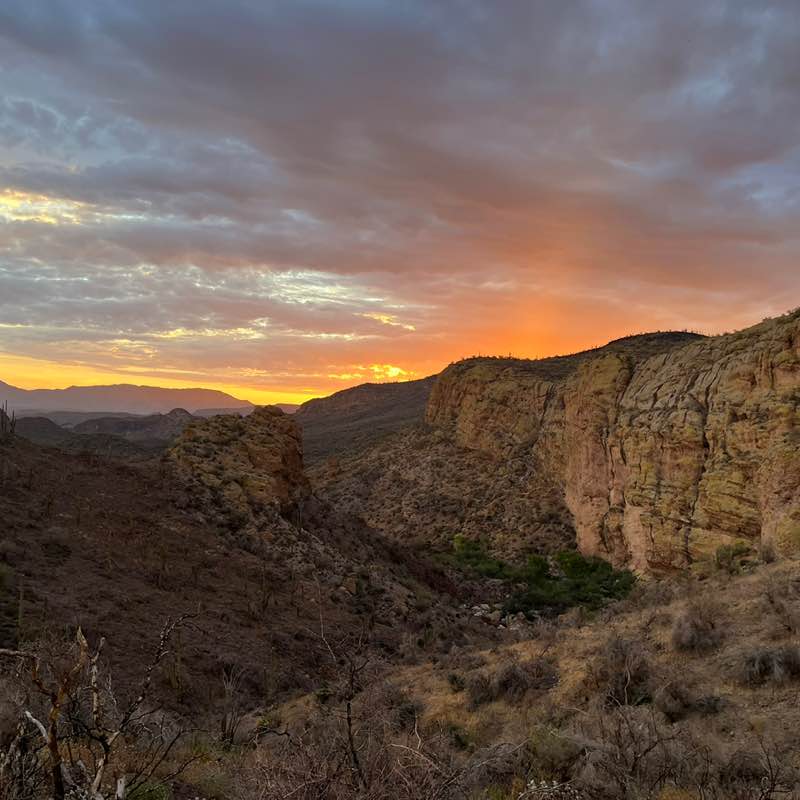 ☀ Phoenix -Valley of the Sun☀ Natalie post image