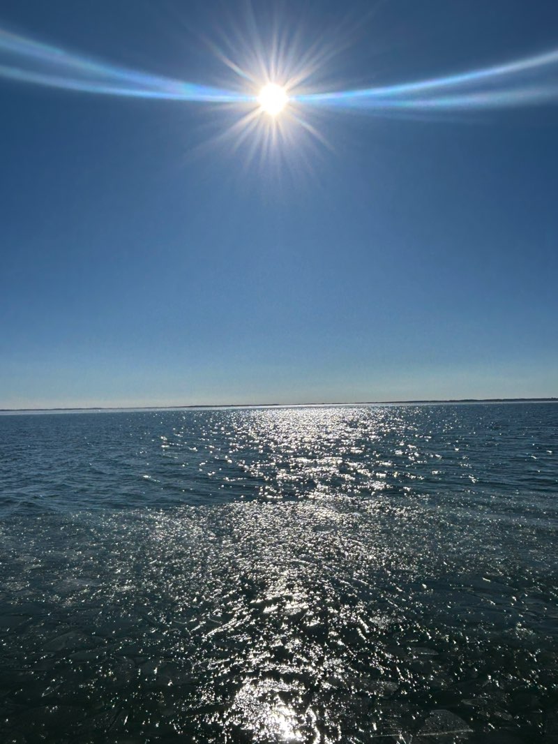 walking near me in Perry Point Park in winter