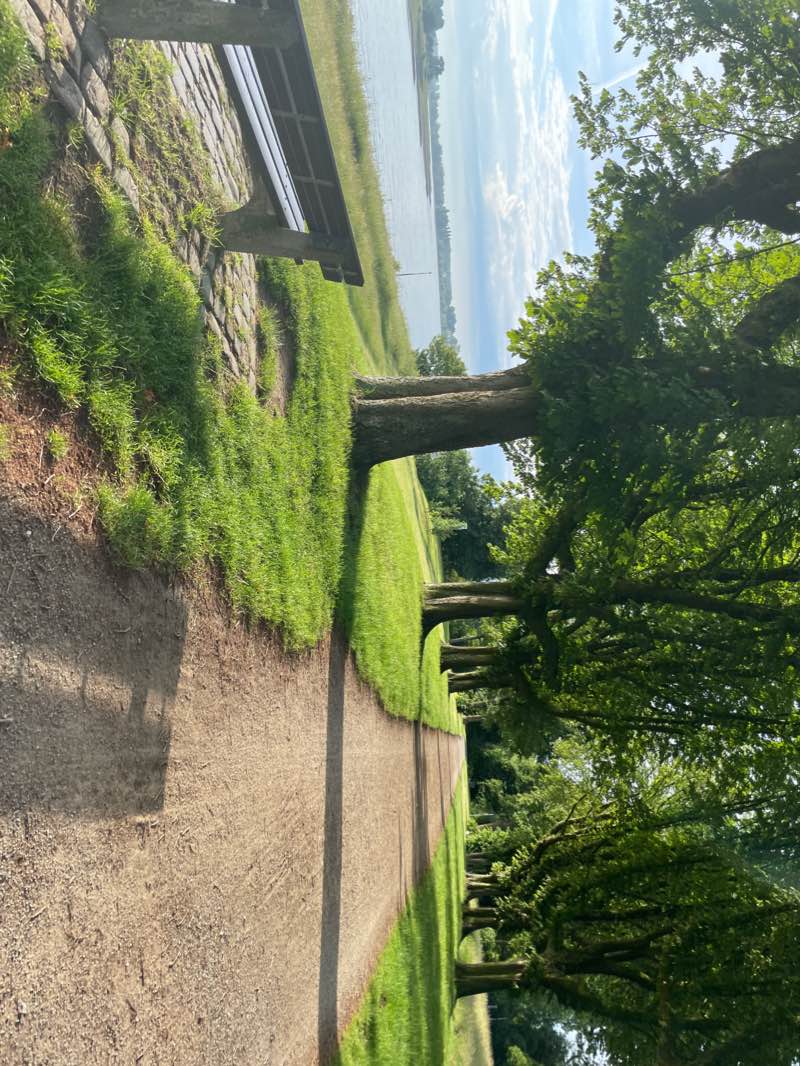 walking near me in Rheinpark EUROGA 2002 plus in winter