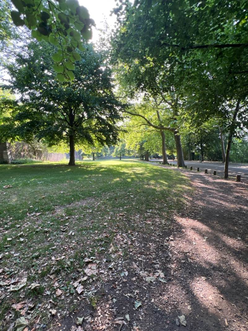 walking near me in Parc de la Citadelle in summer