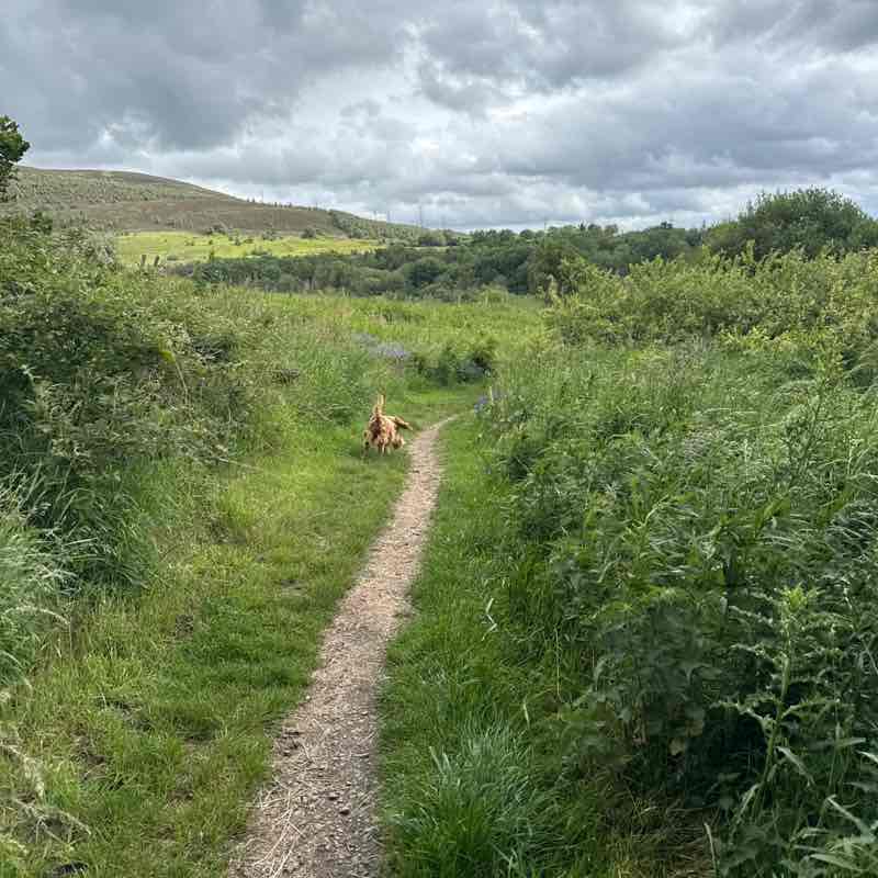 Becky post 2