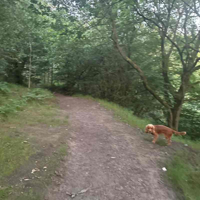 Becky post 1