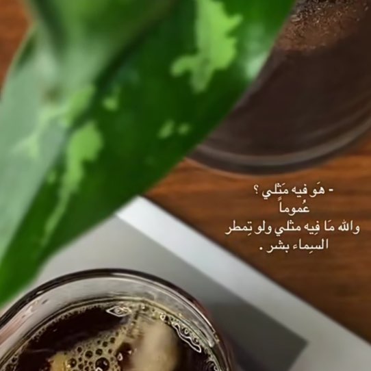 نجاة الجبرتي 🦋 profile