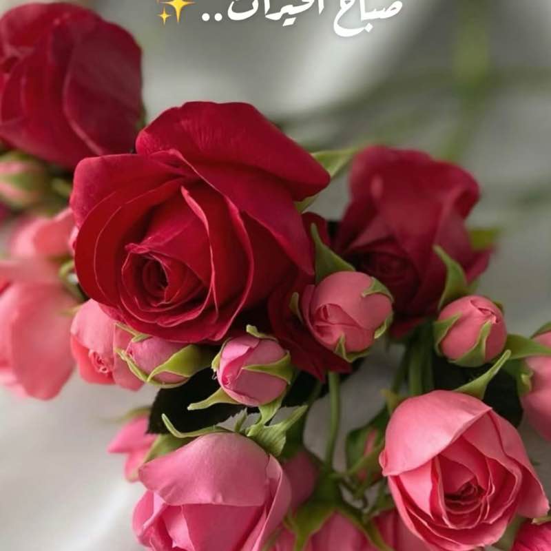 Najat🦋🕊️ post 1