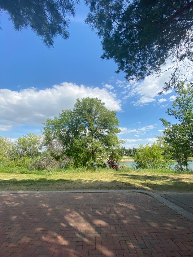 walking near me in Victoria Park in winter