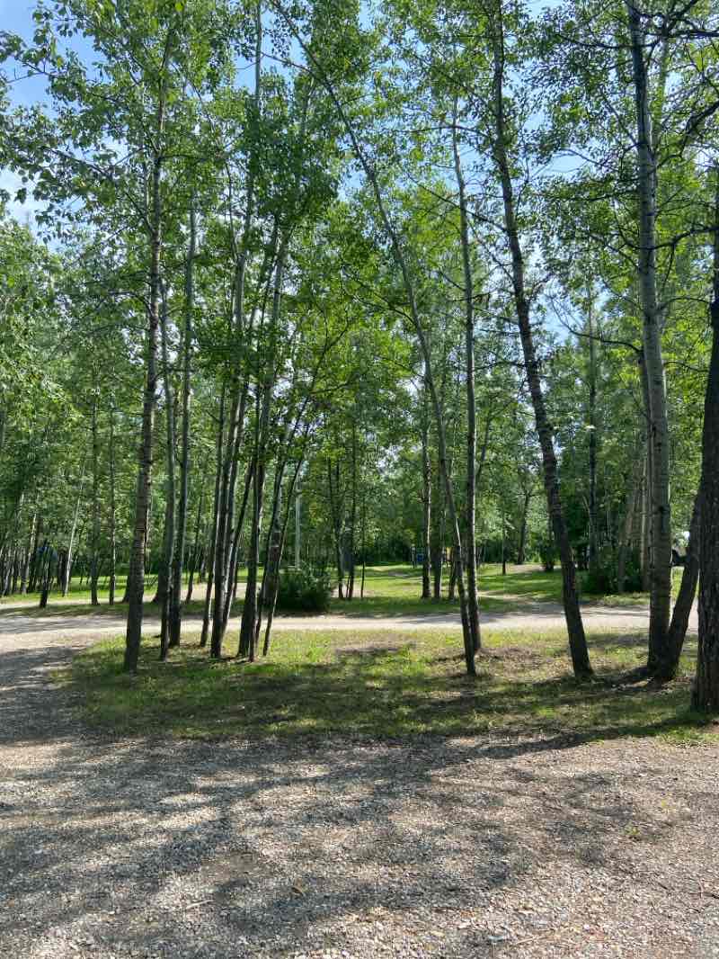 walking near me in Good Sam's Park in summer