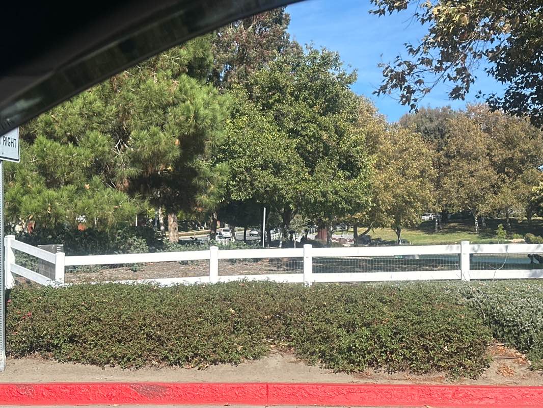 walking near me in Temecula Duck Pond Park in autumn