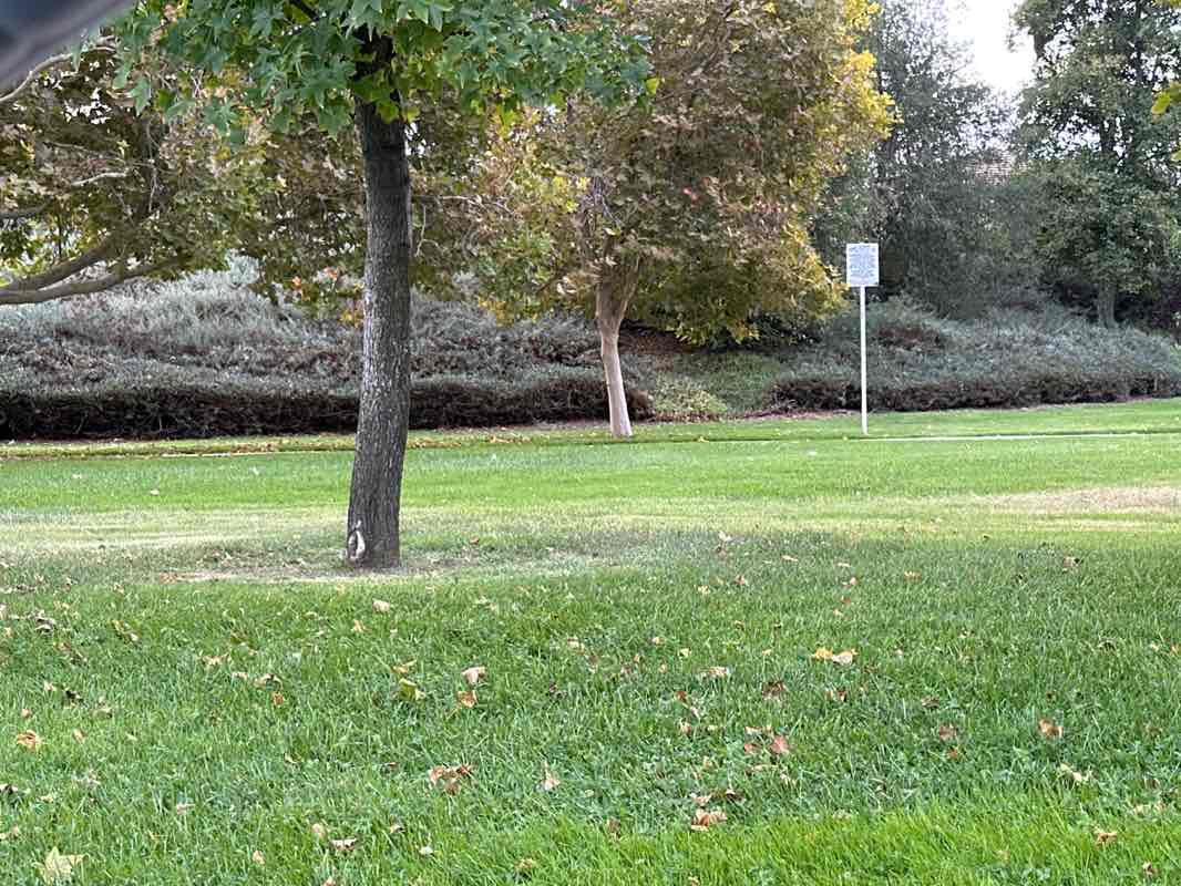 walking near me in Whitewood Park in autumn