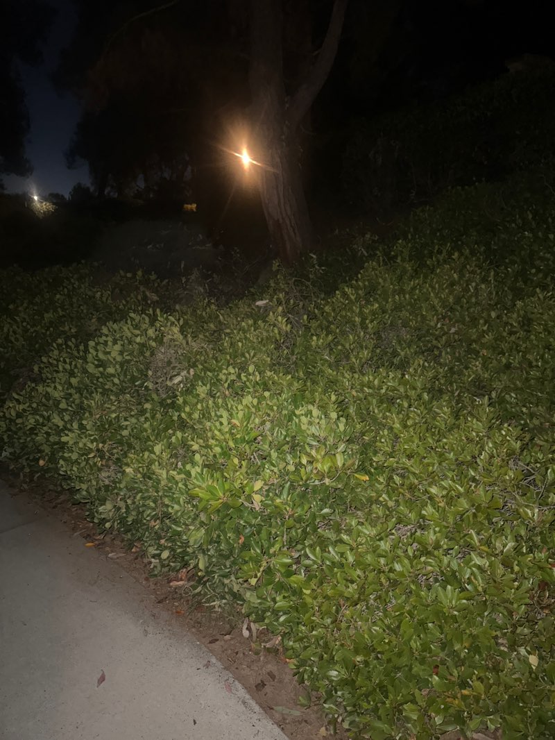 walking near me in Captain Aaron J. Contreras Memorial Park in winter