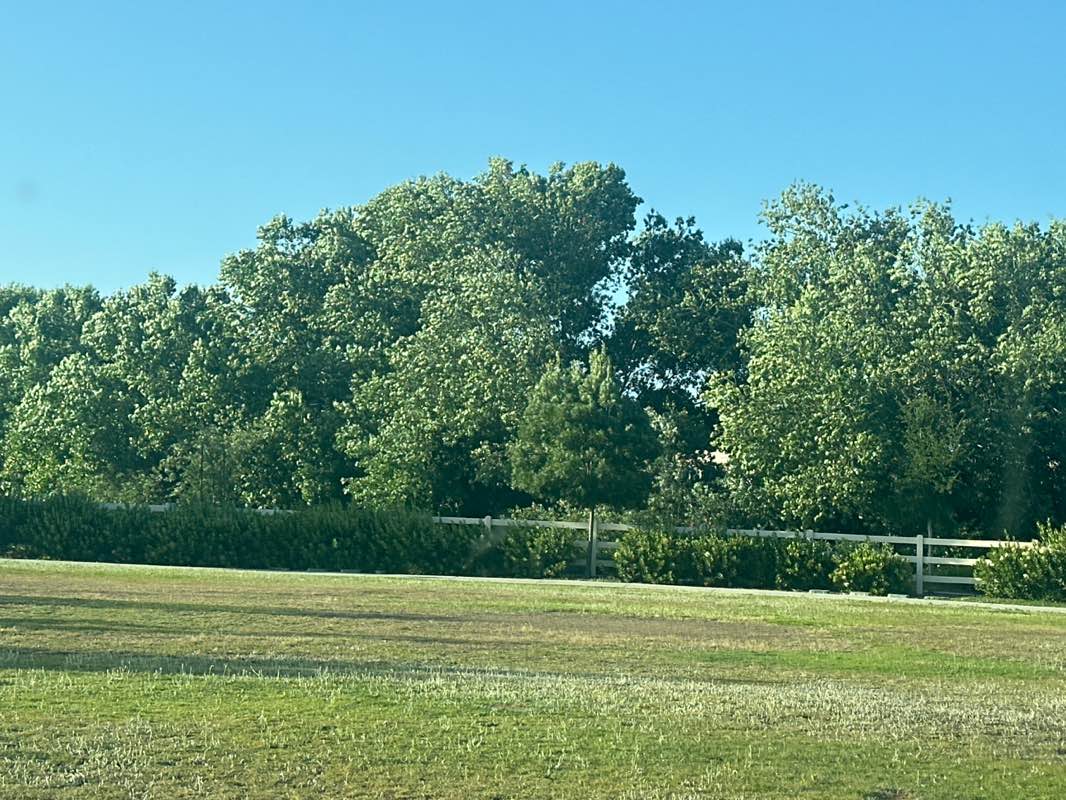 walking near me in Alderwood Park in summer