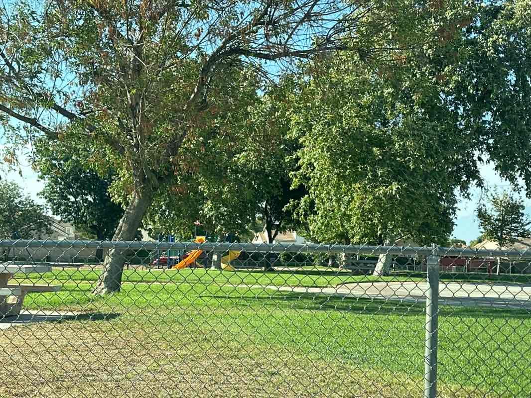 walking near me in Brubaker Park in autumn