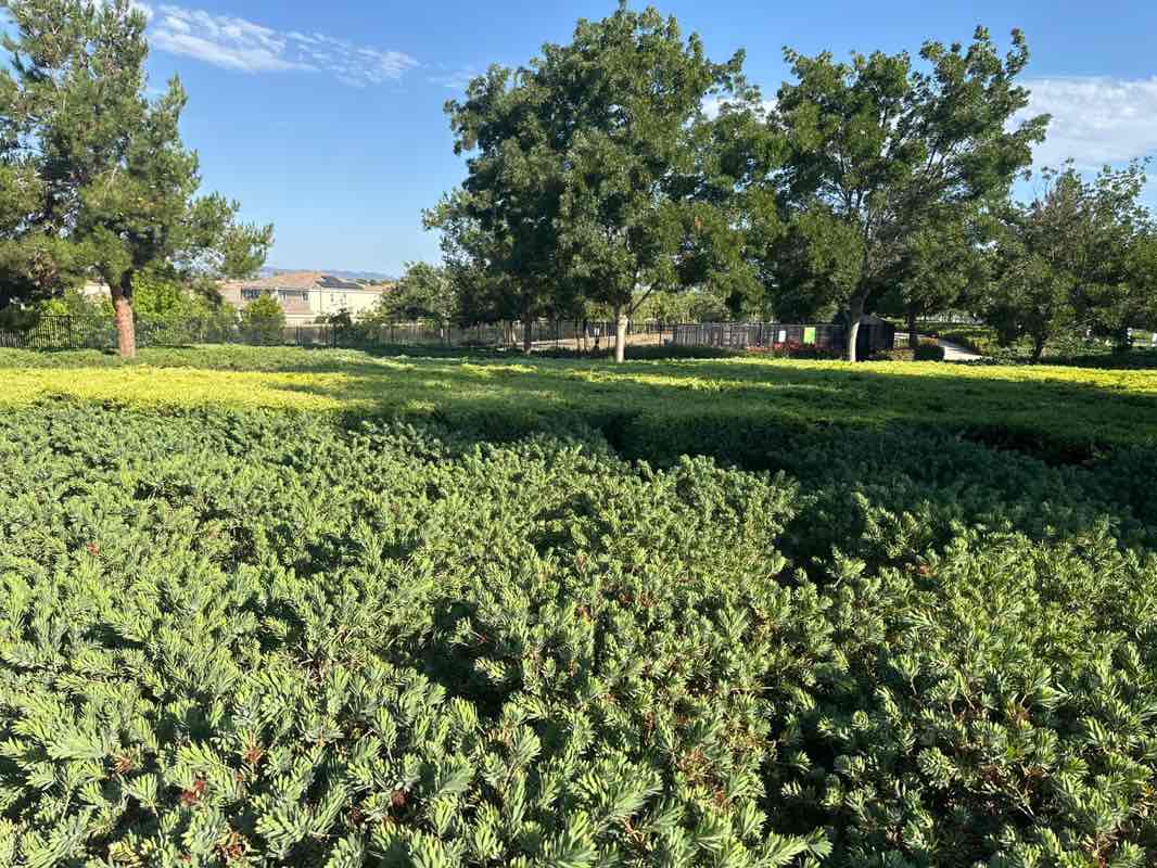 walking near me in Heroes Park in autumn