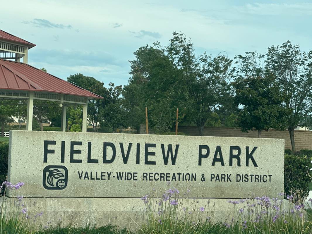 walking near me in Fieldview Park in autumn