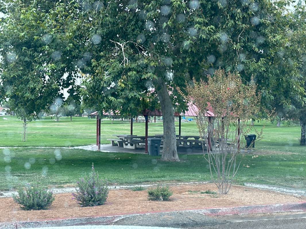 walking near me in Mary Henley Park in autumn