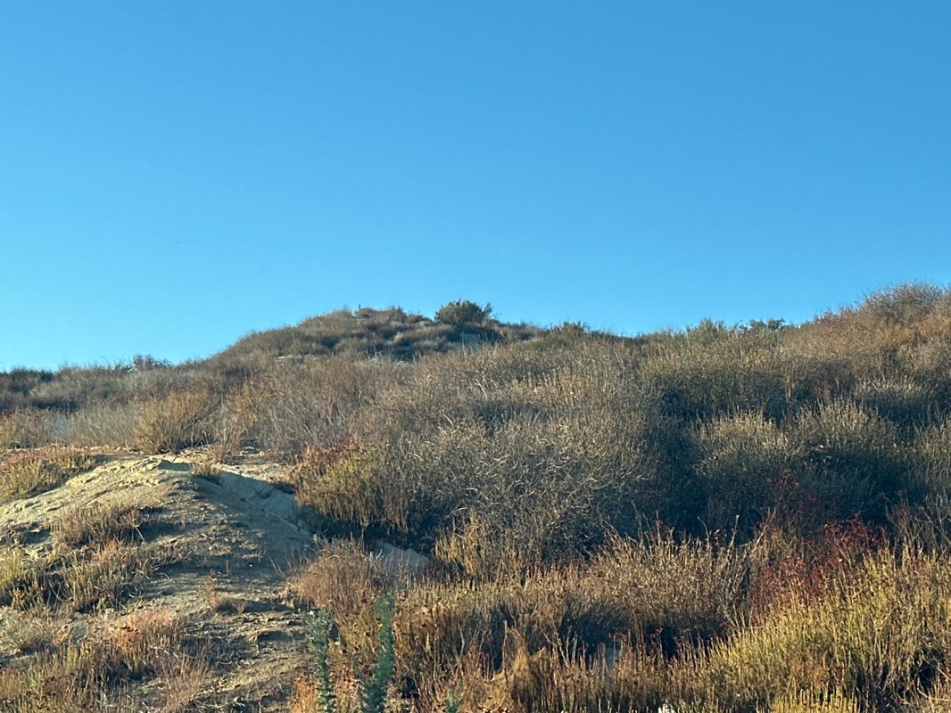 walking near me in Falcon View Park in autumn