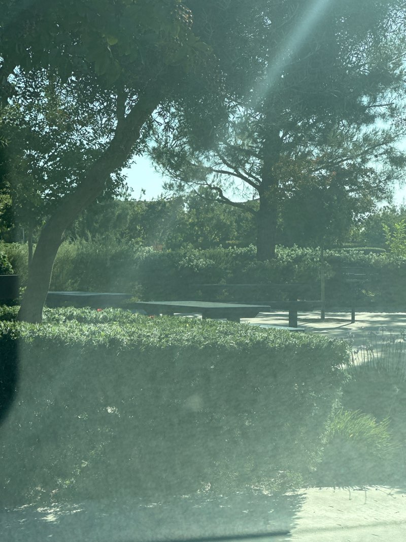 walking near me in Morningstar Park in autumn