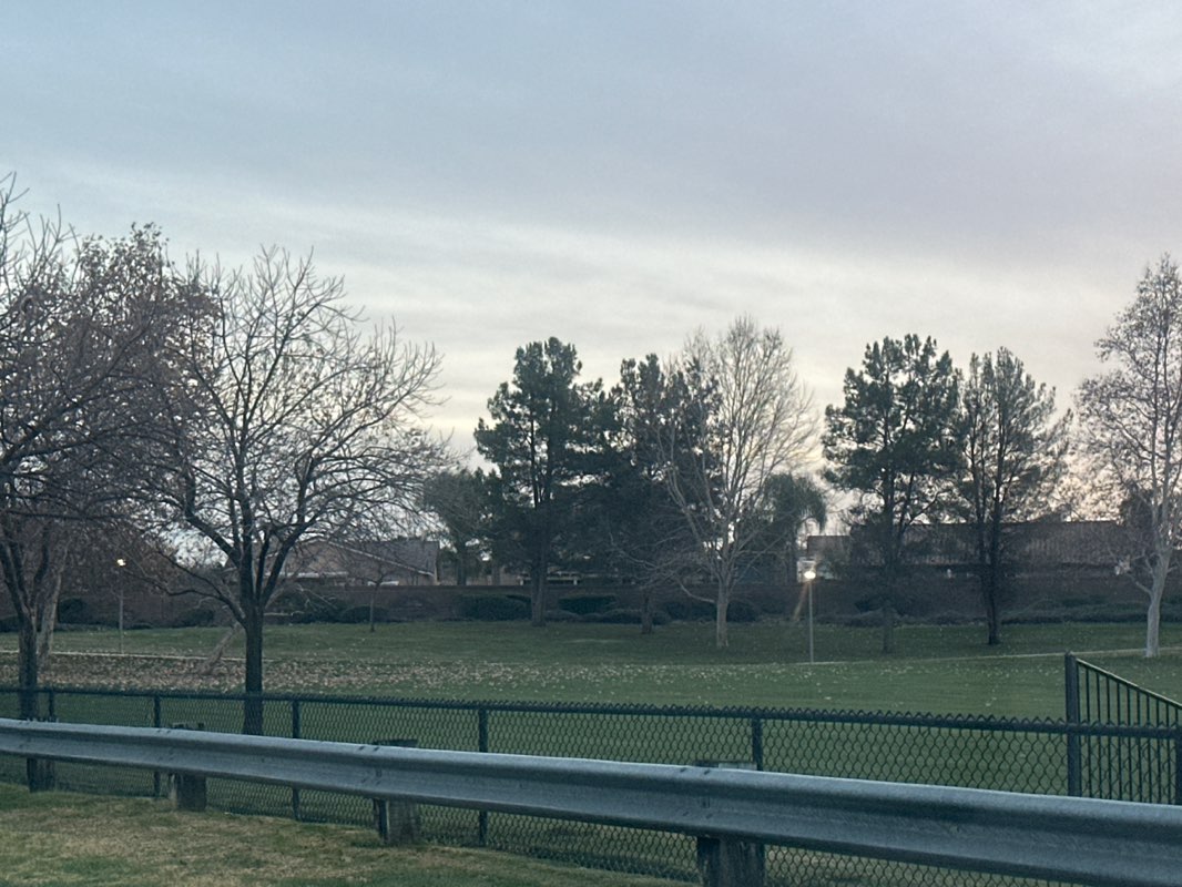 walking near me in Woodbine Park in winter
