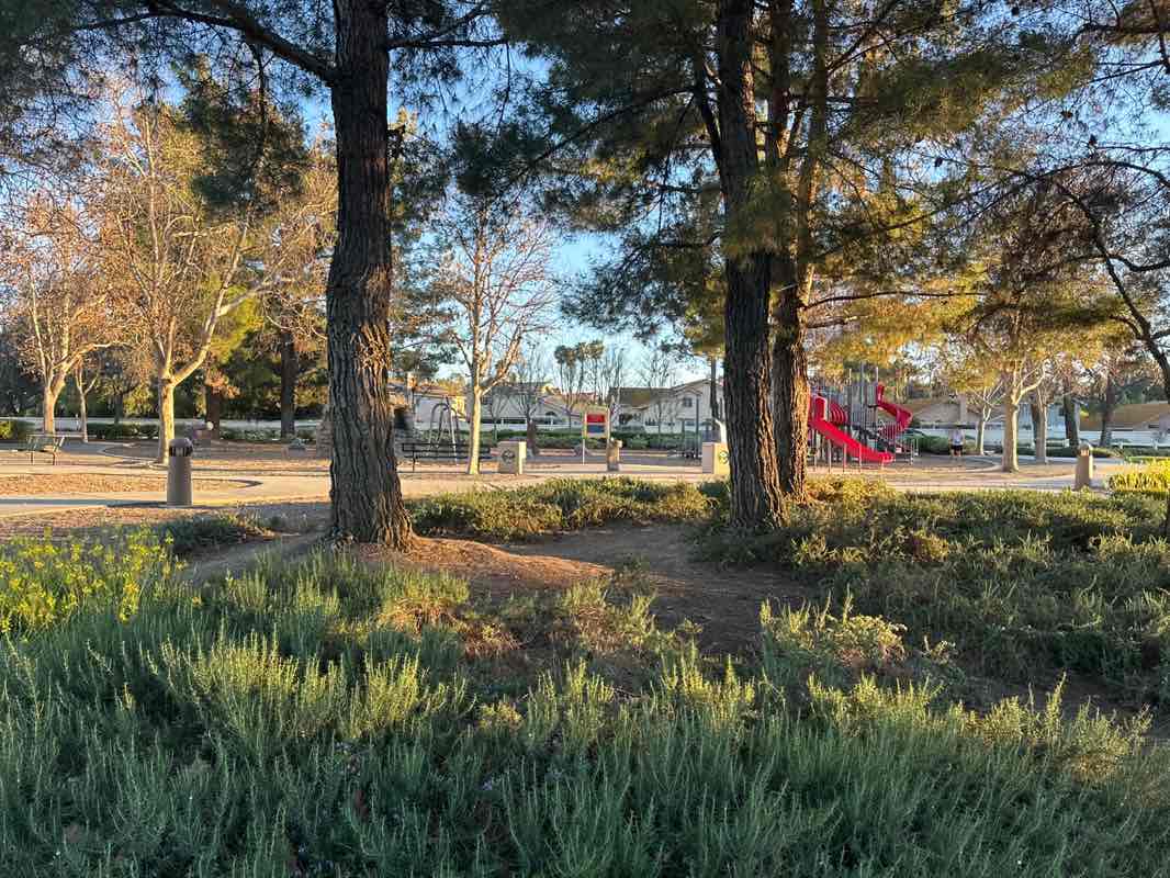 walking near me in Nicolas Road Park in spring