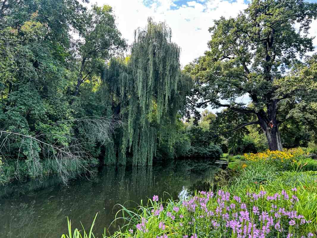 walking near me in Staudengarten in autumn