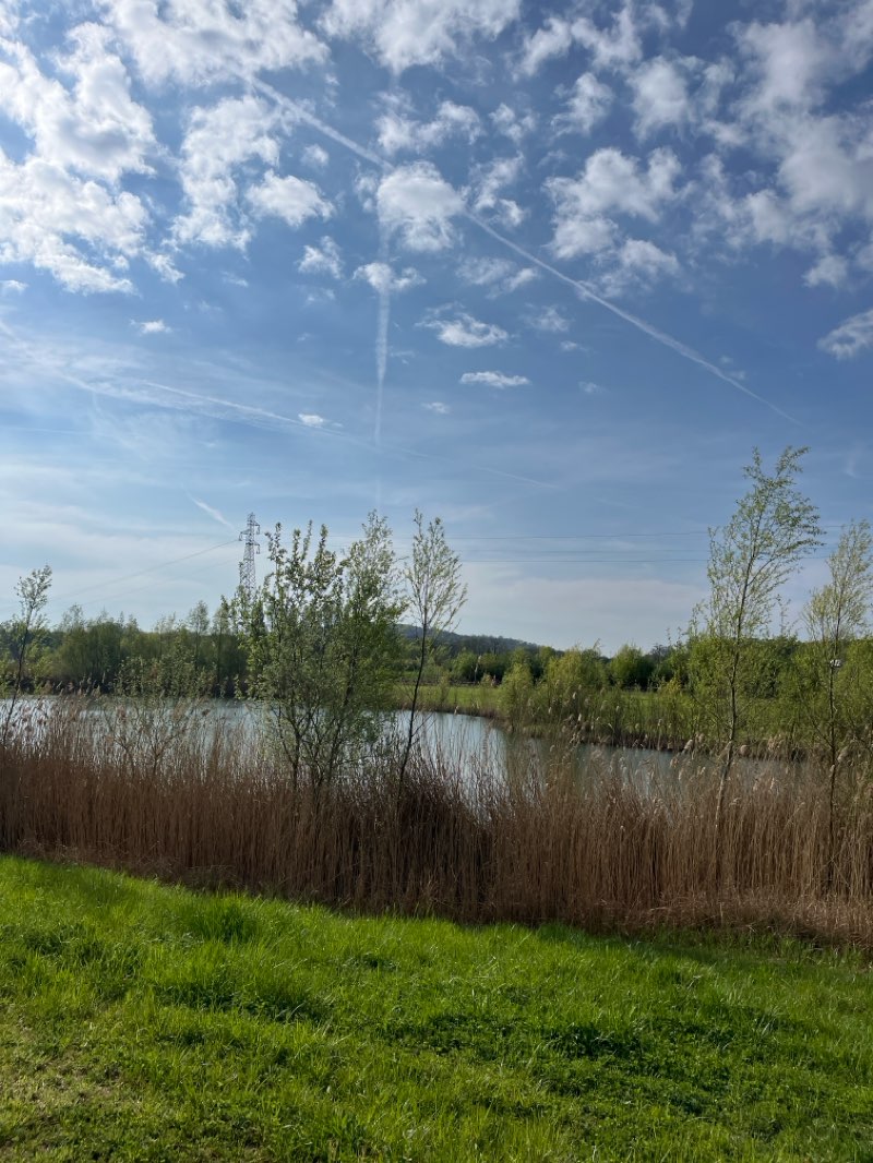 walking near me in Bassin des Muids in spring