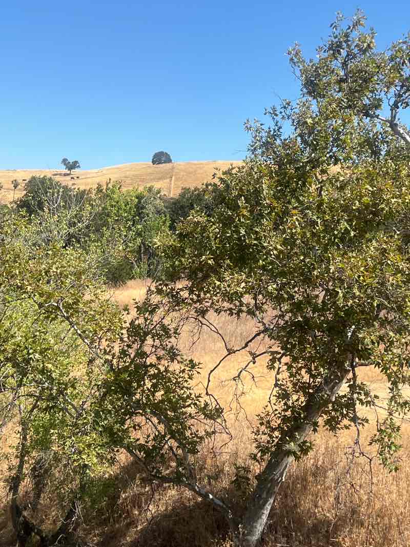 walking near me in Round Valley Regional Preserve in autumn