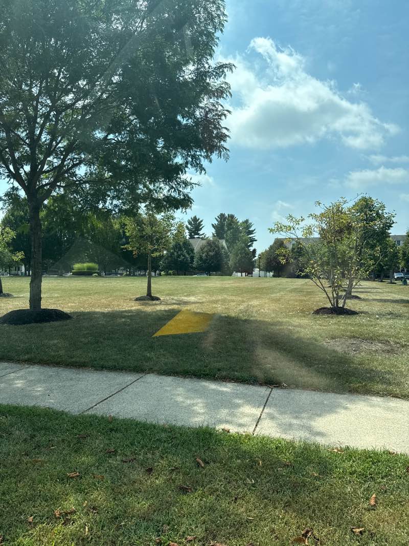 walking near me in Union Street Park in autumn