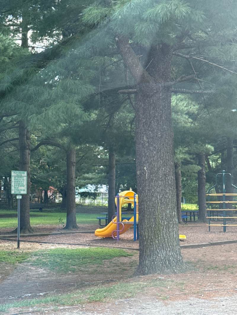 walking near me in Dawes Park in autumn
