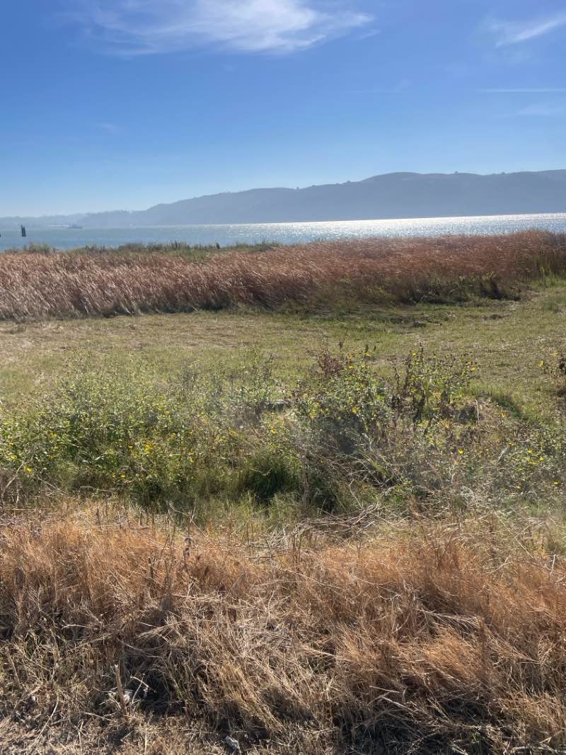 walking near me in Turnbull Park in winter