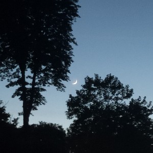 G 👣👟👟👣 profile