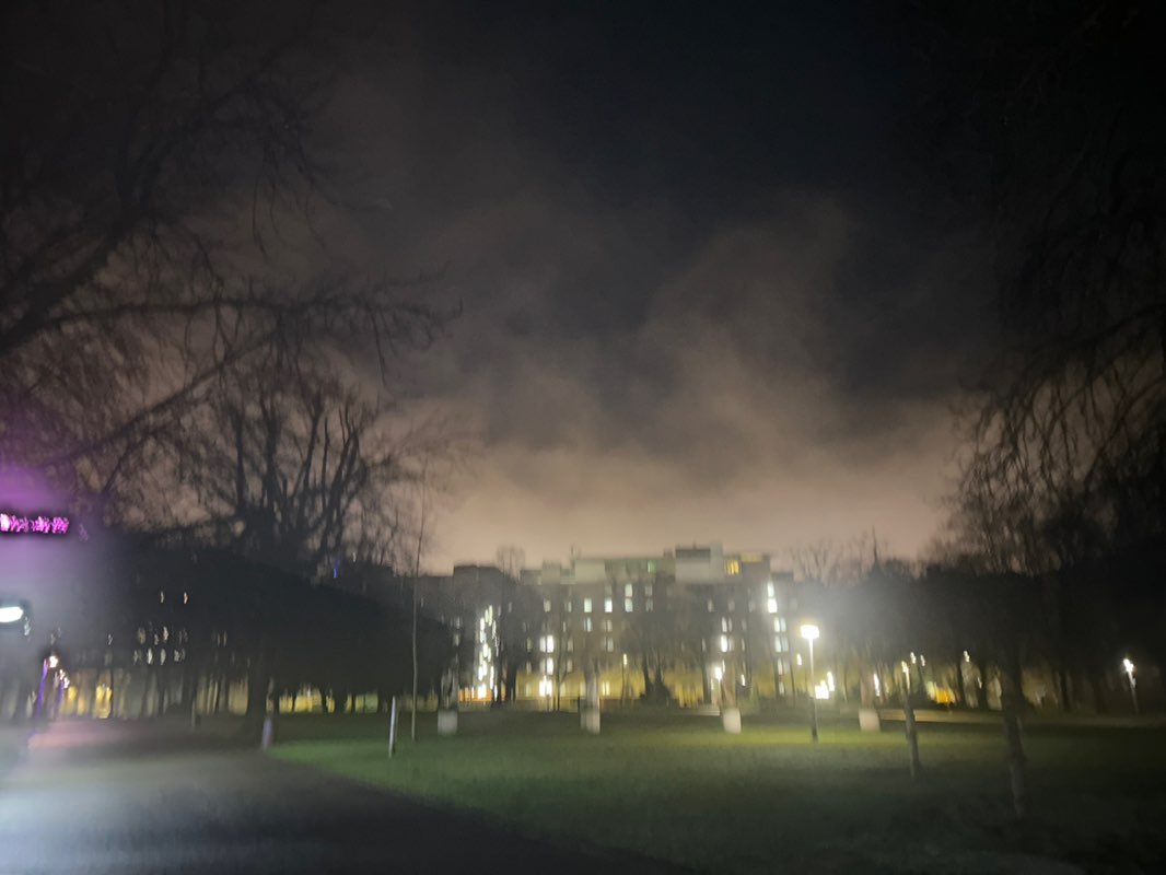 walking near me in Stadtgarten in winter