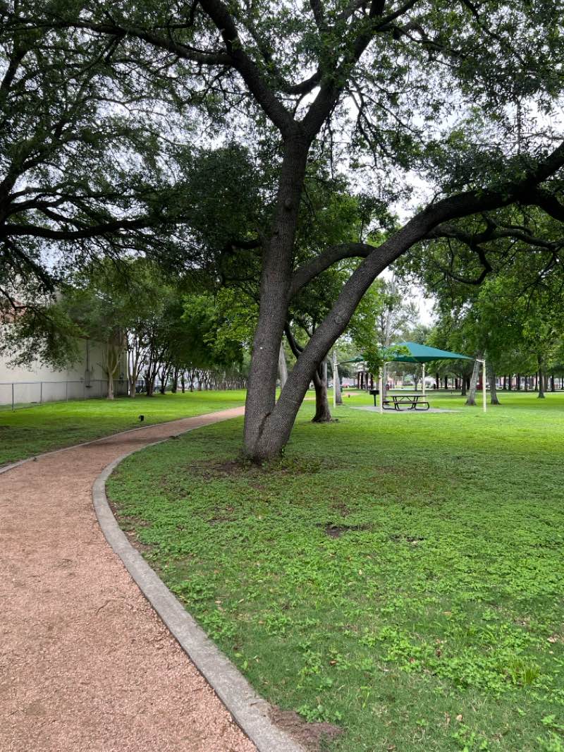 walking near me in Texas Avenue Park in spring