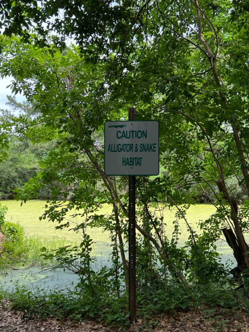 walking near me in Robinson Park in spring
