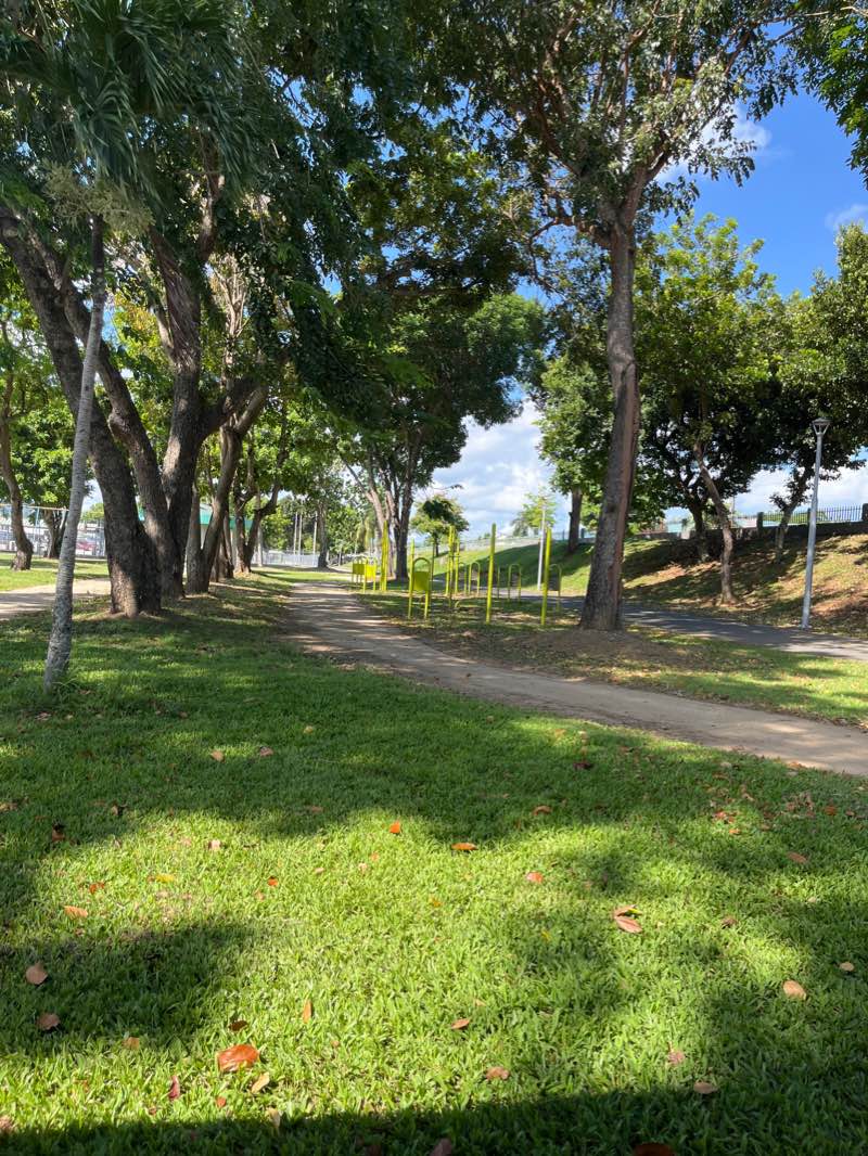 walking near me in Parque Lineal Mario Gaztambide Arrillaga in winter