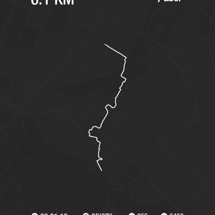 PacerGal_1997 post 1