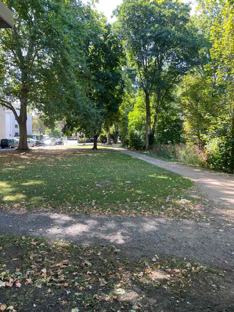 walking near me in Brentanopark in autumn