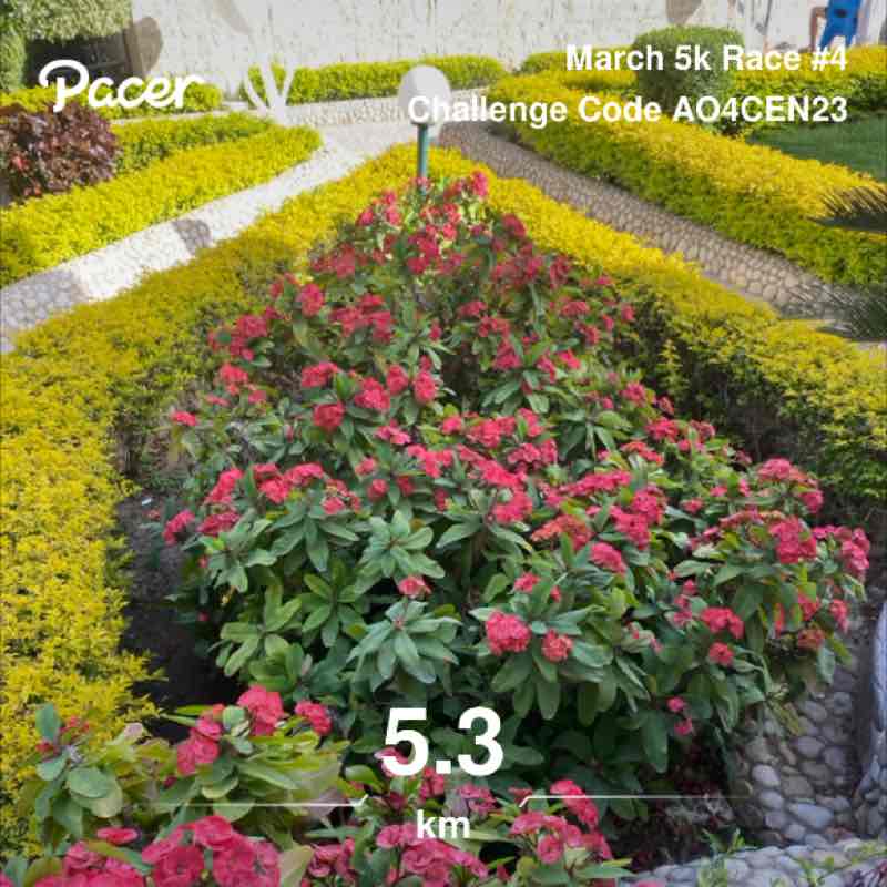 ℐ𝓇ℯ𝓃ℯ post 1