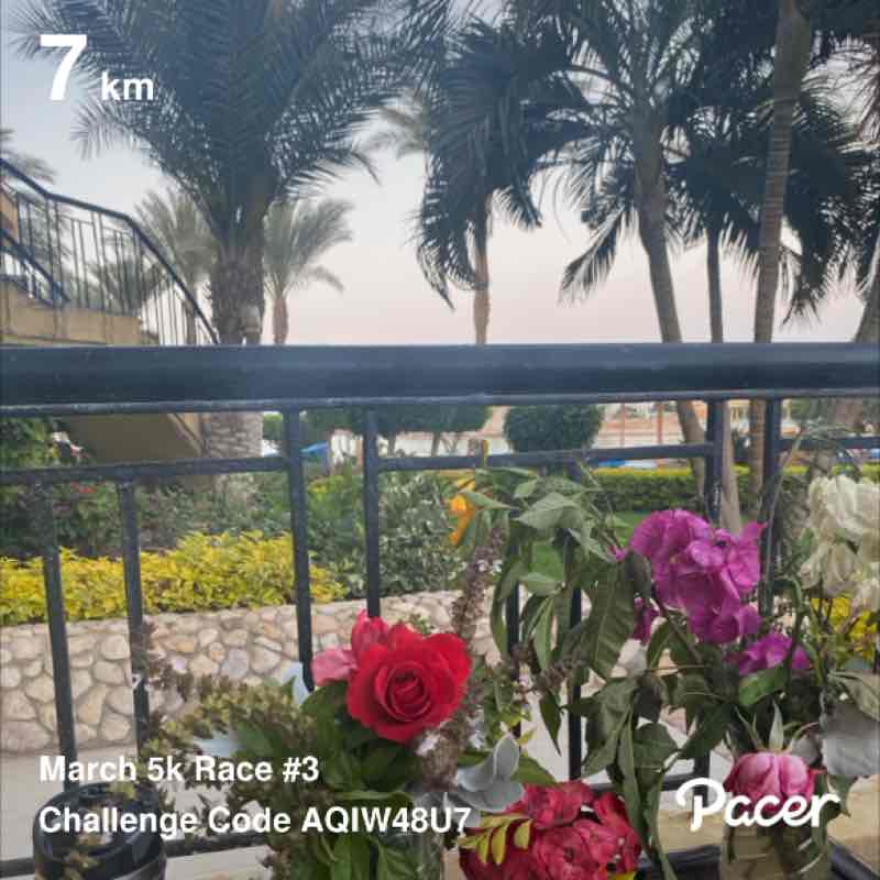 ℐ𝓇ℯ𝓃ℯ post 1