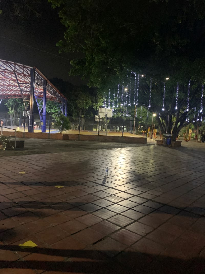 walking near me in Parque la Ceiba in winter