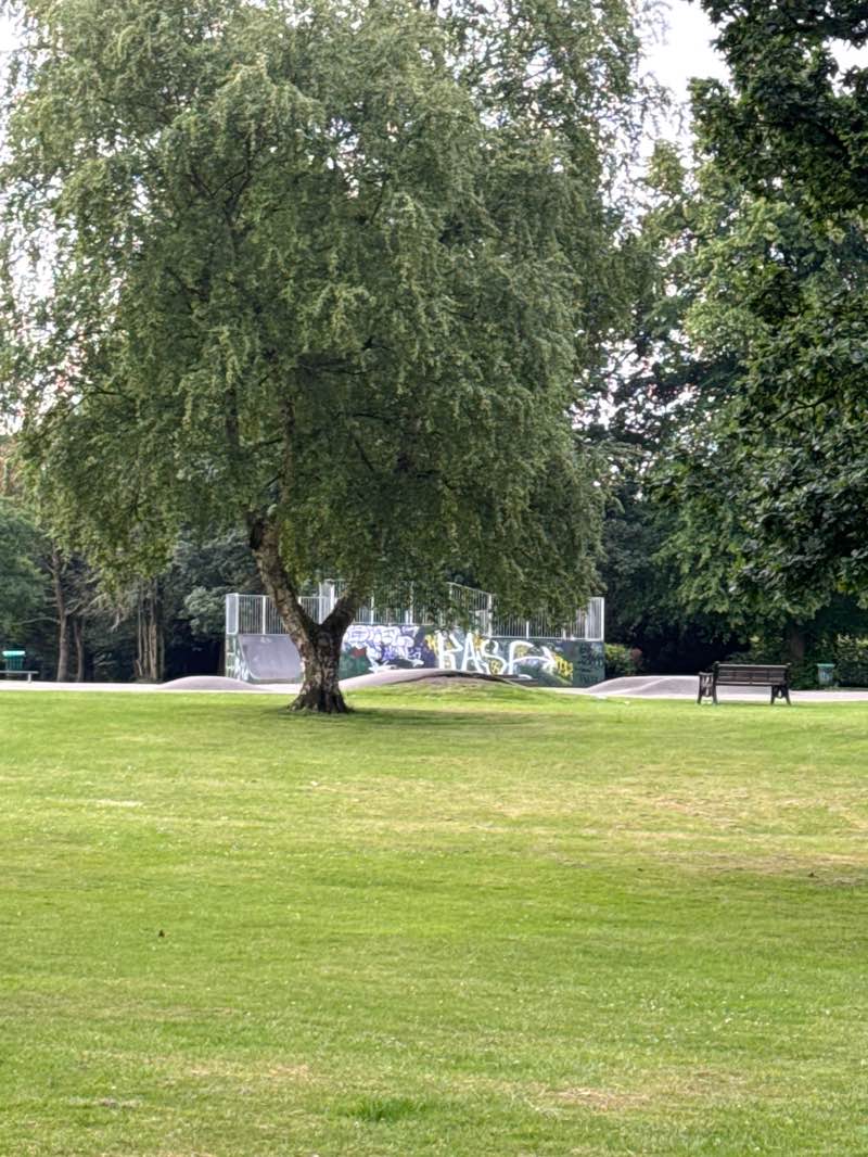 walking near me in West Park in summer