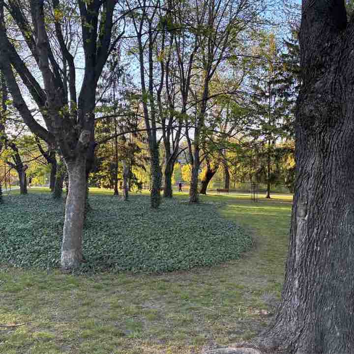 Jacek51741751 post 1