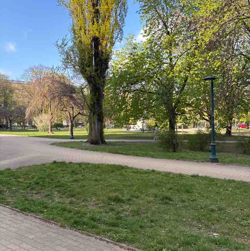 Jacek51741751 post 1