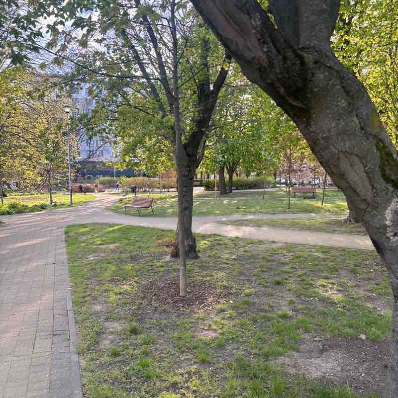 Jacek51741751 post 1