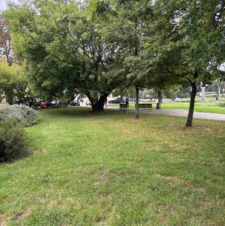 Jacek51741751 post 1