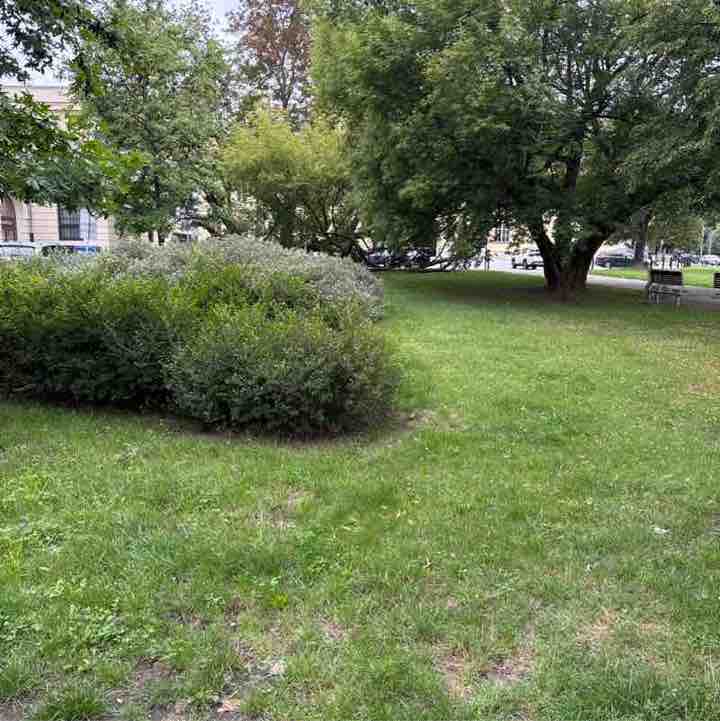 Jacek51741751 post 1