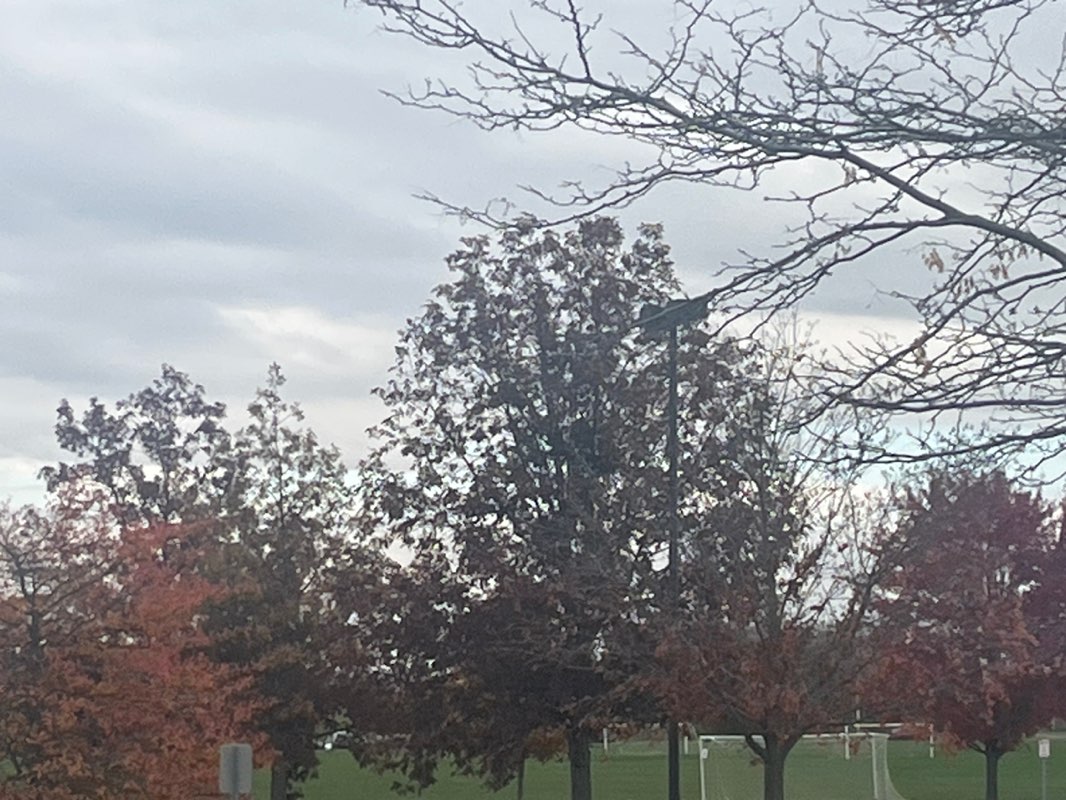 walking near me in Oak Grove Park in autumn