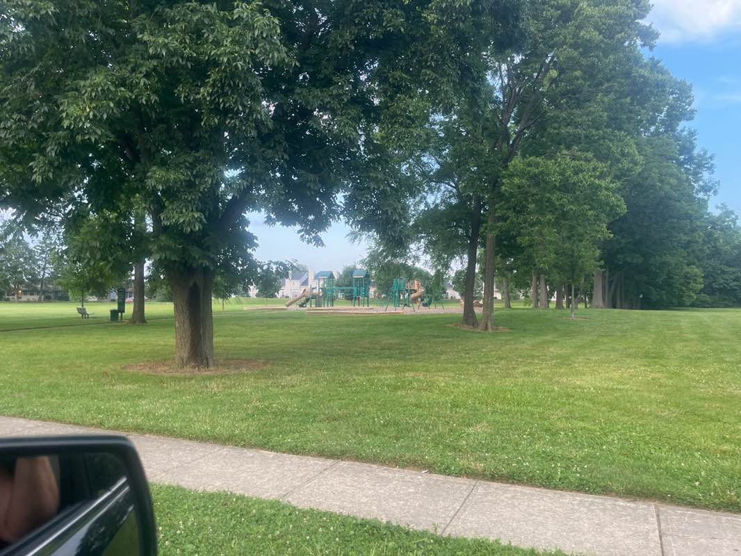 walking near me in Wagon Trail Park in summer