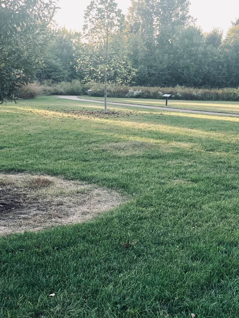 walking near me in Oak Creek South Park in autumn