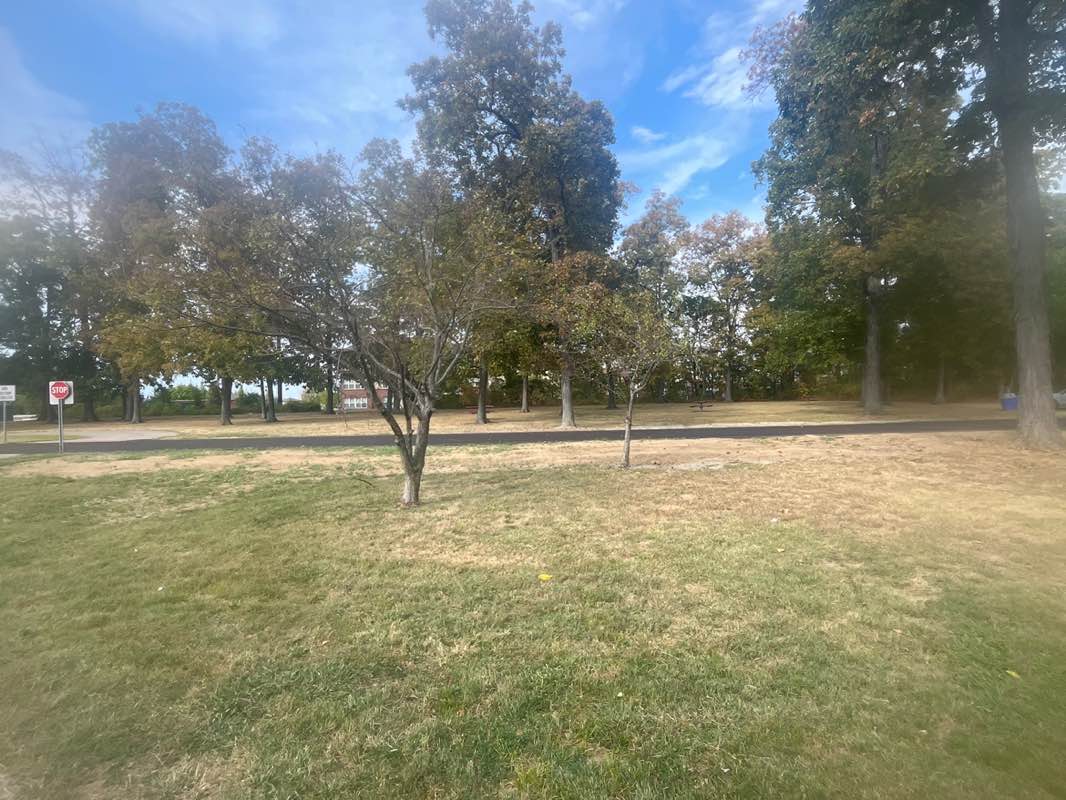 walking near me in Waldruhe Park in autumn